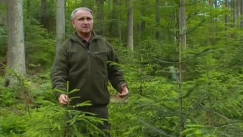 Přidej se - Šumava II.