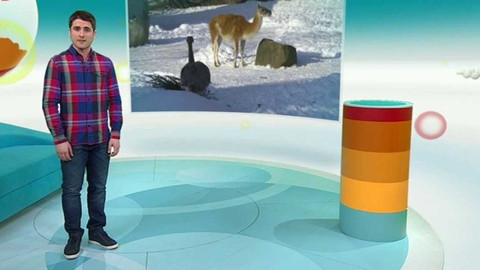 Zprávičky - 18. ledna 2017