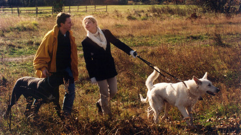 Bakaláři - Pes, nejlepší přítel člověka