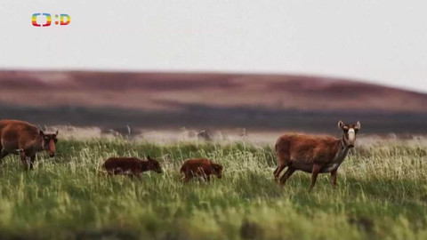 Zprávičky - 1. června 2021