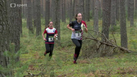 Český orienťák - 17. října 2024