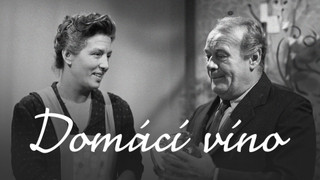 Domácí víno