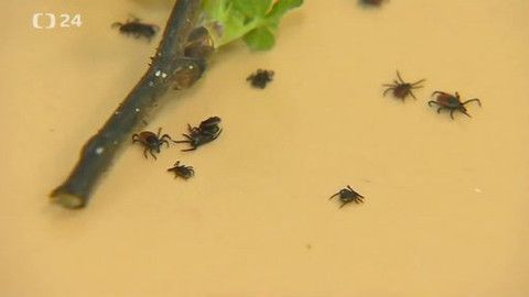 Tep 24 - 11. května 2013