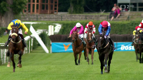 Velká pardubická - I. kvalifikace na 134. Velkou pardubickou se Slavia pojišťovnou