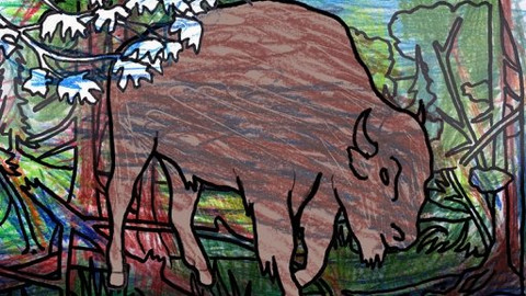 Evropské pexeso - 20/28 Polsko