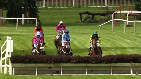 Turf - 15. listopadu 2017