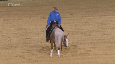 Světové jezdecké hry 2014 Francie - 1. den