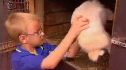 Zlín Film Festival - 6/8 Zlínské festivalové minuty 2006