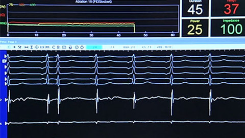 Tep 24 - 16. února 2013