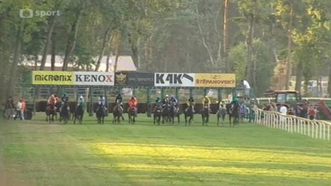 Turf - 7. srpna 2013