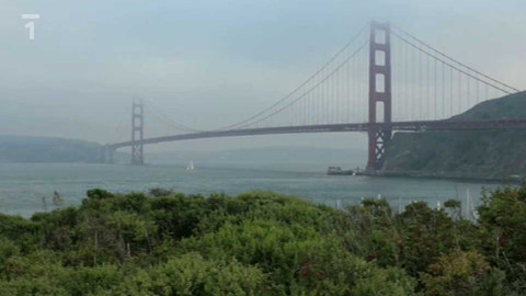 Objektiv - 15. ledna 2012