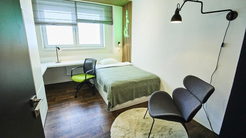 Bydlet jako... - V záři neonu