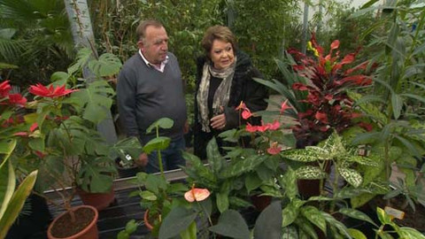 Hobby naší doby - 27. února 2016