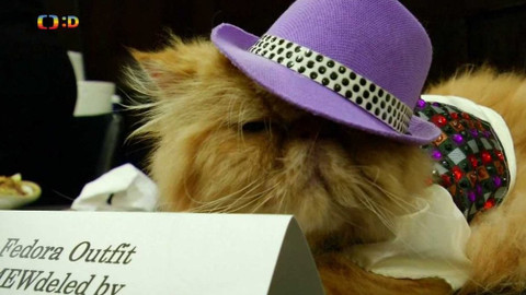 Zprávičky - 5. srpna 2018