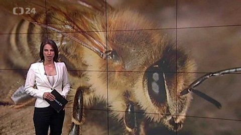 Horizont ČT24 - 17. června 2015