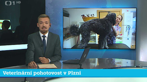Události v regionech (jih a západ) - 31. července