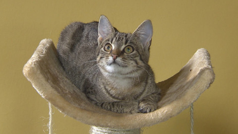 Chcete mě? - Chcete je?