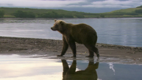 Safari z Knihy džunglí - Epizoda 4/26