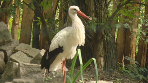 Chcete mě? - 7. září 2014