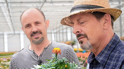 Trvalé bydliště venkov - 5/16 Barvy a vůně v květináči