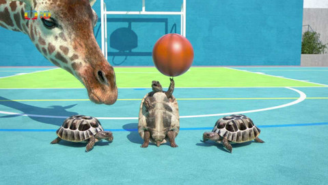 Sportující zvířata - Sportující zvířata III.