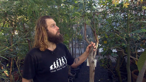 Nedej se! - Příroda nemá hranice