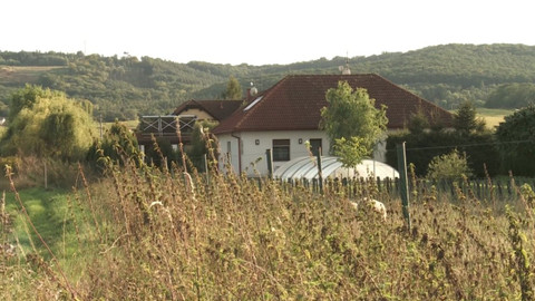 Černé ovce - 21. října 2021