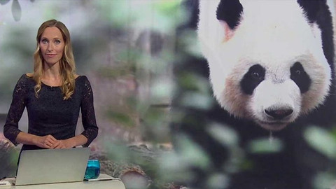 Horizont ČT24 - 5. září 2016