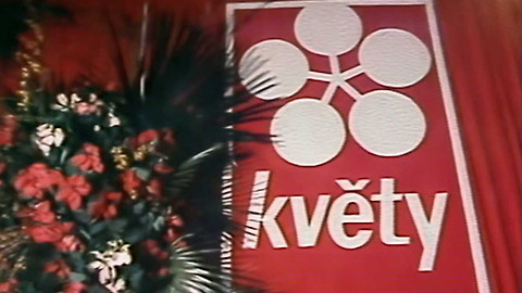 Archiv dne - 18. leden 1981: Ples Květů