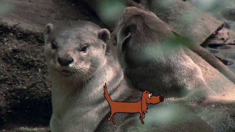 Telefon - 24. června 2016