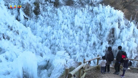 Zprávičky - 8. ledna 2022