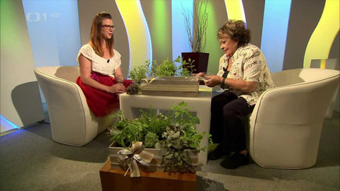 Hobby naší doby - Hobby naší doby - letní speciál