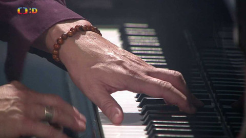 Hudební perličky Pavla Šporcla - Vadim Petrov