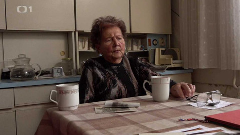 Týden v regionech (Brno) - 2. ledna 2021