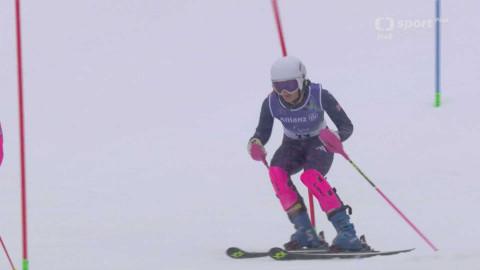 XIV. zimní paralympijské hry 2026 Milano Cortina - Alpské lyžování