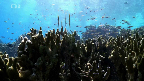 Dobrodružství vědy a techniky - Život na vodě i pod vodou - mořský park Tun Sakaran