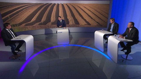 Politické spektrum - Přesila žluté barvy v naší krajině