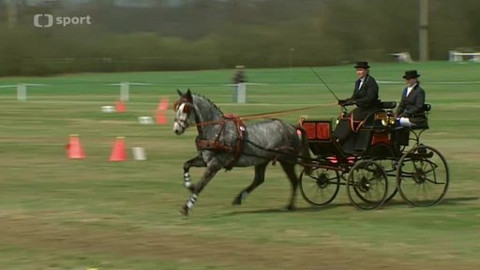 Jezdectví - Mezinárodní závody jezdeckých spřežení Kladruby