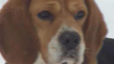 Chcete mě? - 22. ledna 2010