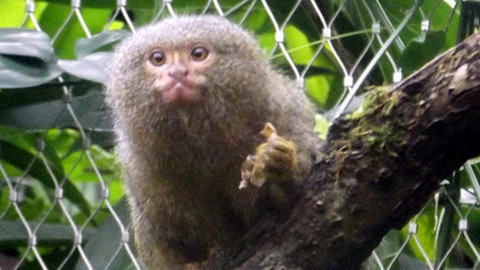 Máte mě! - 4. prosince 2011