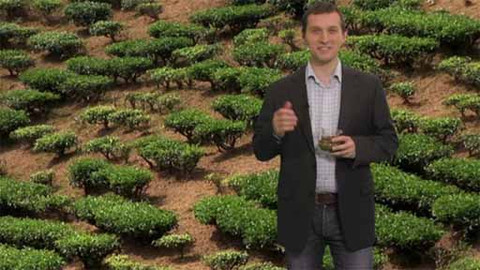 Tajemství zdravého života - 28/100 Blahodárný zelený čaj