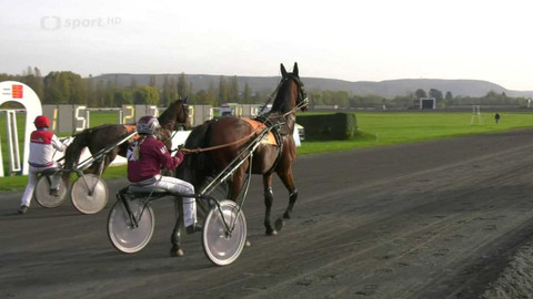 Dostihy - Velká cena primátora hl. m. Prahy - St. Leger