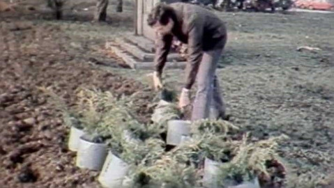 Archiv ČT24 - Komu se zelení…