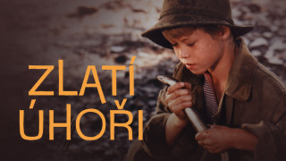 Zlatí úhoři