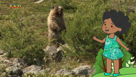 Velká kniha o zvířátkách - Epizoda 10/52