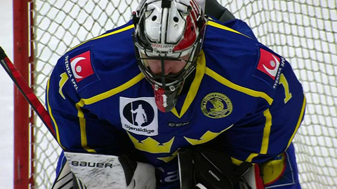 Euro Hockey Tour - Česko - Švédsko