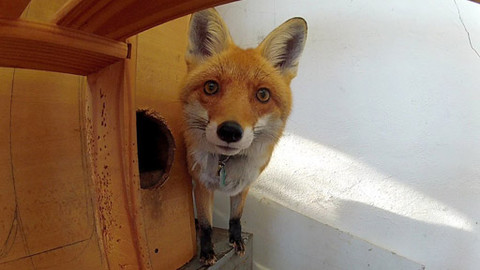 Máte mě! - 3. června 2012