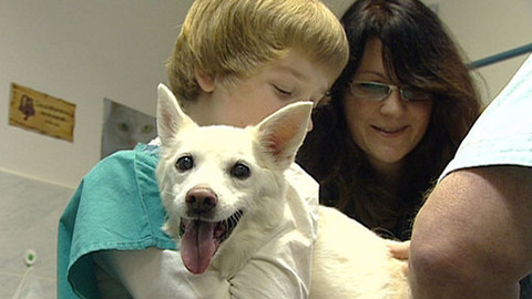 Zprávičky - 17. prosince 2011