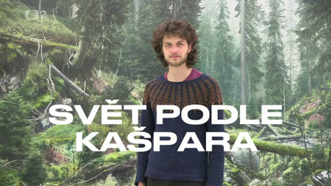 Svět podle Kašpara