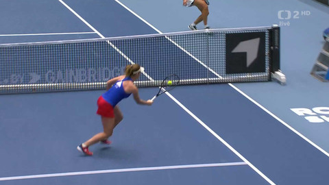 Billie Jean King Cup - Česko - Brazílie